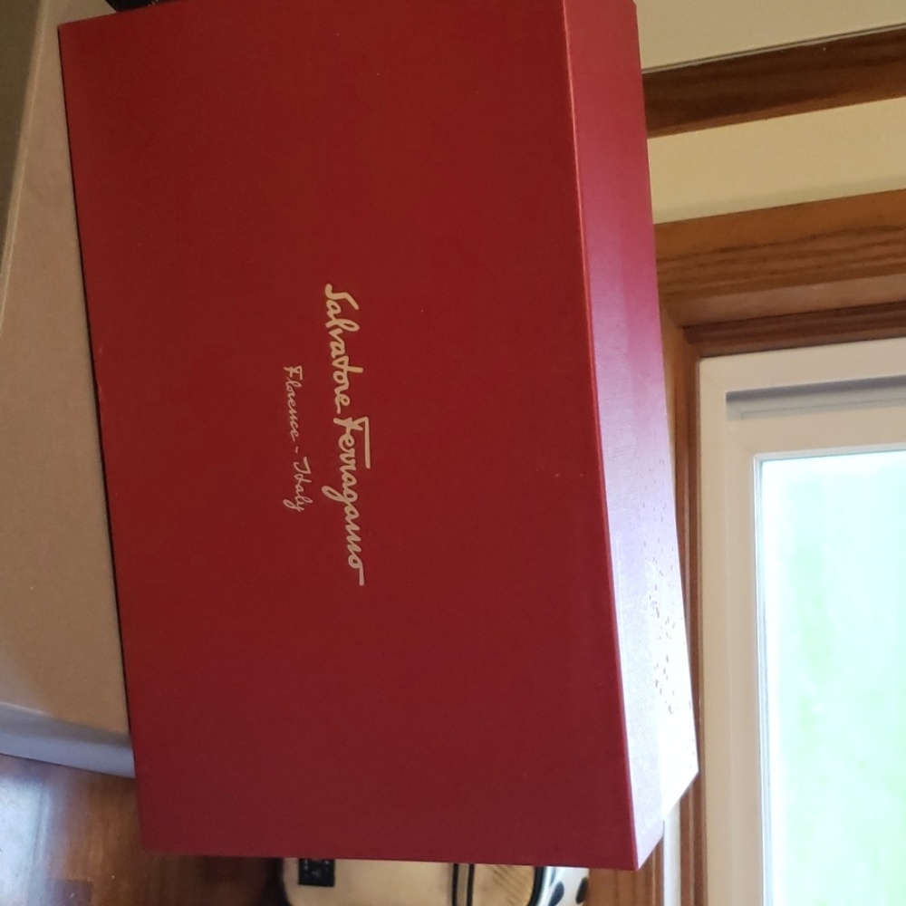 Salvatore Ferrragmo Shoe Box
